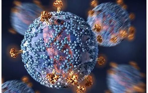 獲得性免疫缺陷綜合征(AIDS)是由人類免疫缺陷病毒(HIV)所引起的傳染病