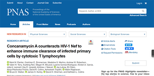 HIV建立了無法治愈的持久性感染,因此需要開發(fā)新的方法來增強(qiáng)HIV感染細(xì)胞的清除率。